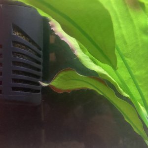 5C98FAEC-A014-4A0A-9012-367208E2FAC6.jpeg