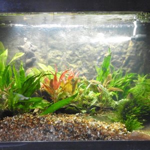 Aquarium 1.jpg