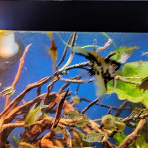 IMG_20210716_114318427.jpg