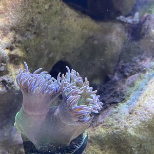 475D69CA-E6C6-4617-98FE-8FE0711AD1E0.jpeg