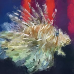 D307830F-FA26-4E47-81C8-E269C577707B.jpeg