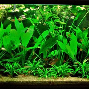 115g Feb 24-15.JPG