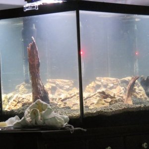 IMG_6657.JPG