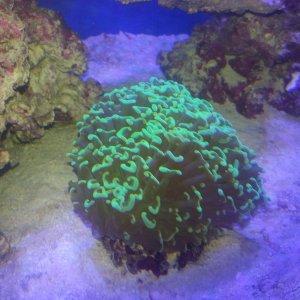 20151017_184246.jpg
