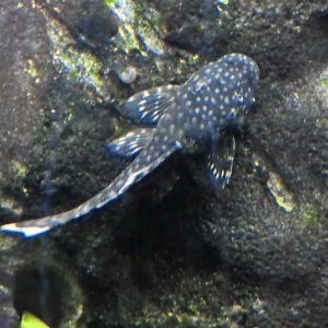DSCN3720.JPG