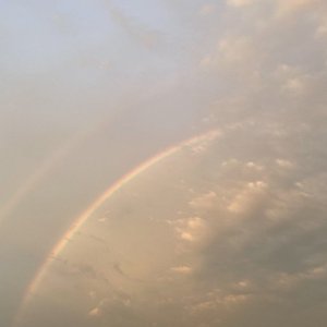 A4E31ED3-33AD-4221-BE8E-94DC24340E78.jpeg