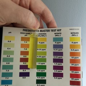 Ammonia Test results.jpg