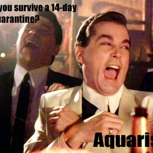 Aquarists.jpg