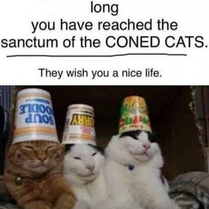 0D2CB391-DE08-4604-9E45-9E74691B046A.jpeg