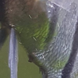 20210830_194349.jpg