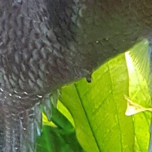 20210830_194307.jpg