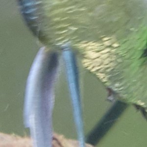 20210830_222610.jpg
