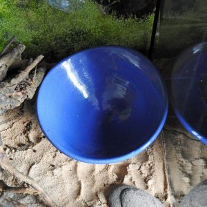 DSCN3888.JPG