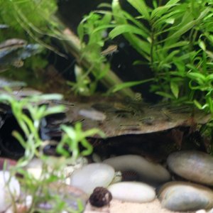 DSCF8078.JPG