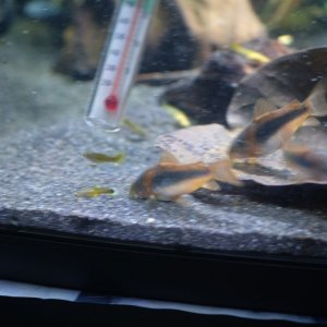 DSCF5059.JPG