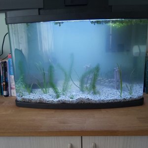 first tank 12.09.jpg