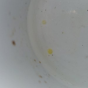 20210923_152709.jpg