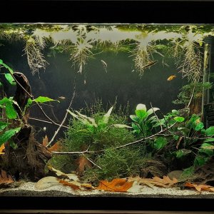 29g Sep 8-2021 (2).jpg