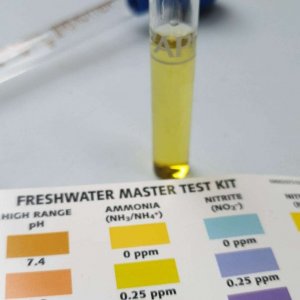 ammonia testing.JPEG