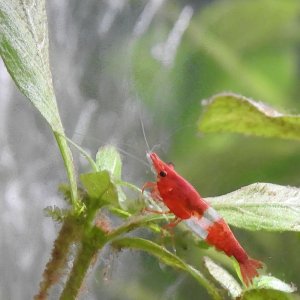 DSCN4014.JPG