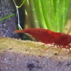 DSCN4035.JPG