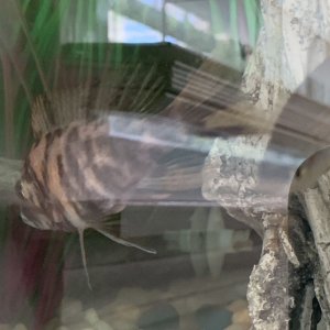 30B2EF6C-86AF-4DC5-BBCC-F8EDE10564D7.jpeg