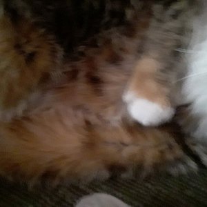 20210212_155144.jpg