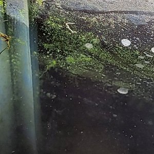 20211023_232550.jpg