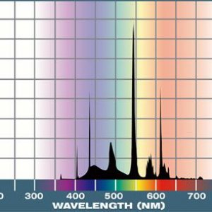 Life-Glo spectrum.jpg