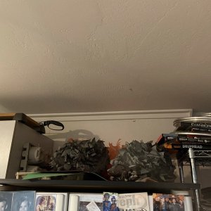 IMG_0922.jpeg