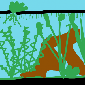 canvas (6).png