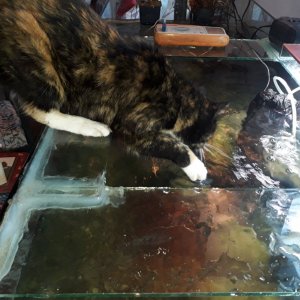 20211123_201630.jpg