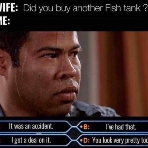 fish-memes13.jpg