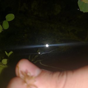 IMG_20211128_214935056.jpg