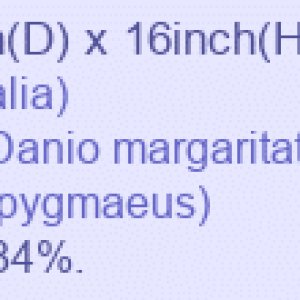 20g_Dwarf_2.png