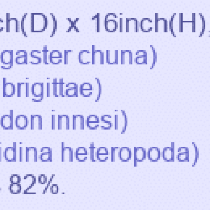 20g_Honey_1.png