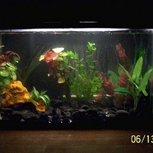 100_2715.jpg