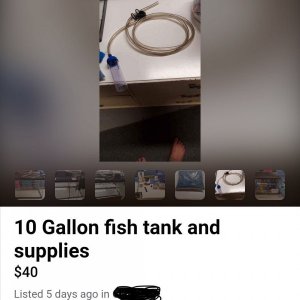 318B6C5A-6861-40F4-A0CD-30C9CCB956DC.jpeg