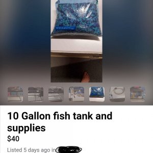 F3699BB9-736A-49AD-8F6E-3DC112F6C3B5.jpeg
