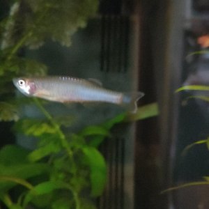 IMG20220102101647.jpg