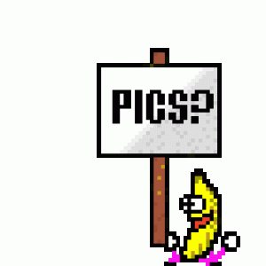 5A55DA46-AB3D-4E7E-8092-32B5558ED328.gif