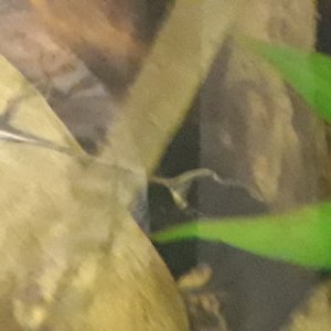 20220111_180912.jpg
