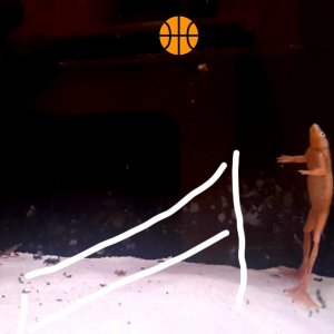 20220129_095316.jpg