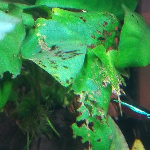 IMG_20220129_100349.jpg