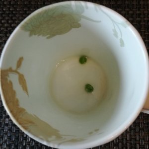 IMG_20220129_124004.jpg