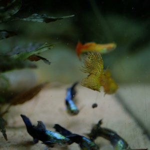 DSCF6510.JPG