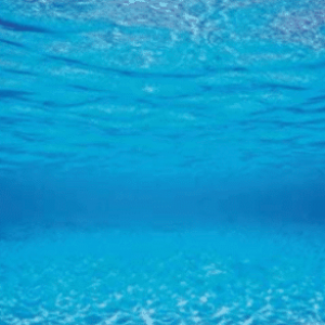 Screenshot_20220131-143412~2.png