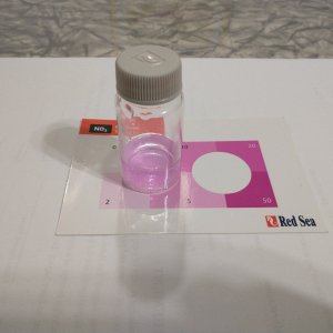 Tap Water Nitrate Test01.jpg