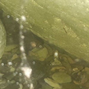 20220209_083718.jpg