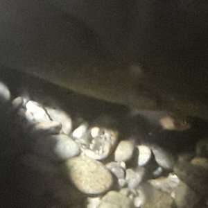 20220209_084014.jpg